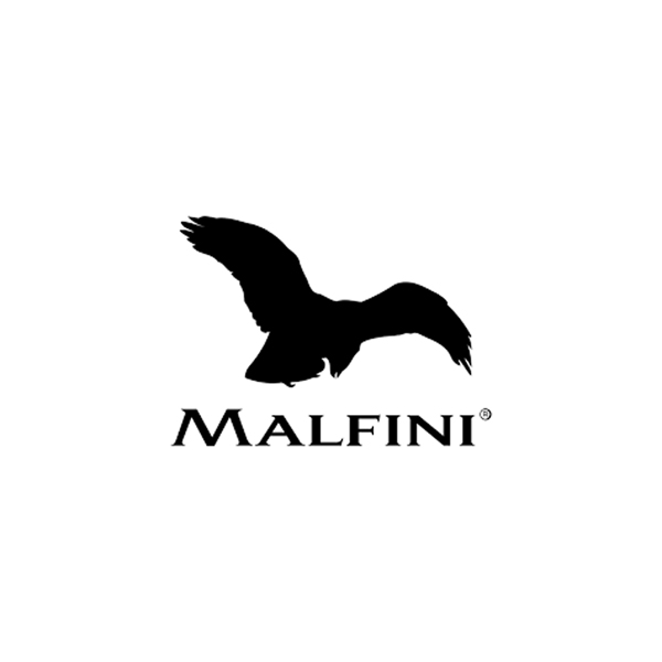 MALFINI: Implementace systému řízení výkonnosti